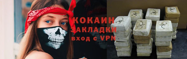 прущие грибы Абинск