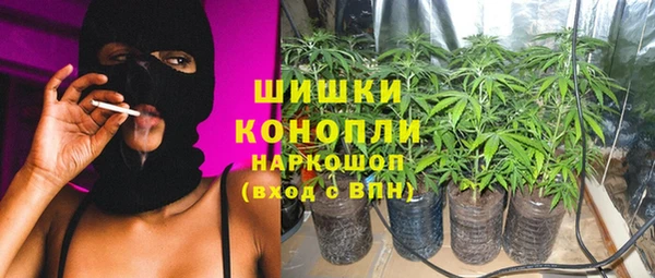 прущие грибы Абинск