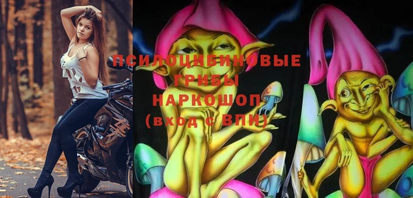 прущие грибы Абинск