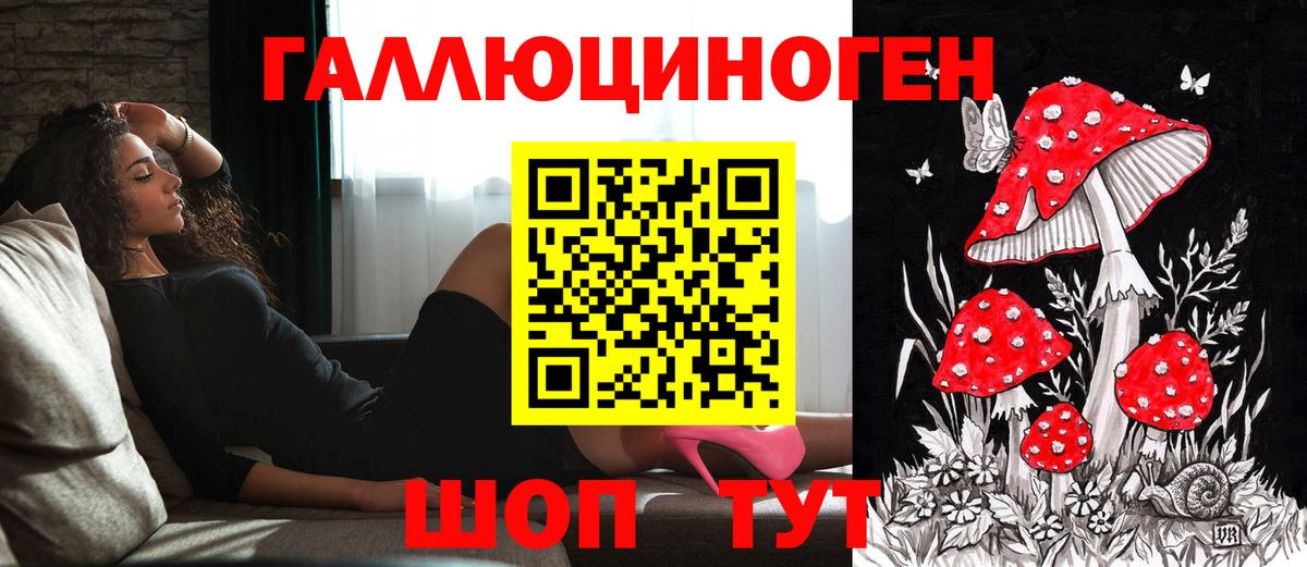 Ярославль  закладка  Вход с VPN  Псилоцибиновые грибы Psilocybine cubensis 
