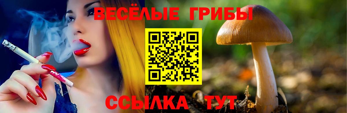 Галлюциногенные грибы мицелий Ярославль